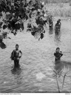 TAMIGUDU, NEW GUINEA, 1943-10-21. AUSTRALIAN AND NEW GUINEA ADMINISTRATIVE UNIT NATIVE CARRIERS CROSSING A RIVER BETWEEN BUIENGIM AND TAMIGUDU