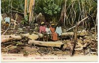56. - Tahiti. - Dans la Vallée