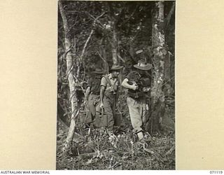 KILIGIA, NEW GUINEA, 1944-03-12. NX4174 SIGNALMAN J. WALKER (1); Q128304 SIGNALMAN J.P. BELL (2) AND QX52479 SIGNALMAN T.J. CROWLEY (3), MEMBERS OF HEADQUARTERS 5TH DIVISION SIGNALS, PICTURED ..