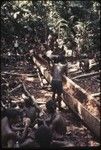 Canoe-building: men hollow out a log for new canoe