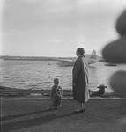 Waterfront view with TEAL Solent in the background