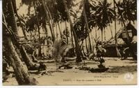 Tahiti. - Sous les cocotiers à Fâââ