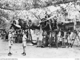 1943-03-29. NEW GUINEA. UNDER A HEAVILY CAMOUFLAGED NET GROUND STAFF AT AN ADVANCED RAAF OPERATIONAL BASE IN NEW GUINEA, OVERHAUL A BEAUFIGHTER. IT WAS MACHINES SIMILAR TO THIS THAT MERCILESSLY ..