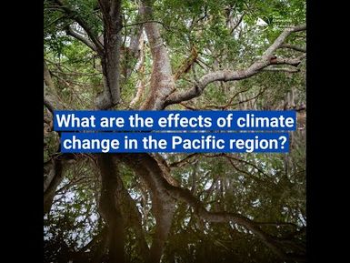 Green tip: What are the effect of climate change in the Pacific Region? #Shorts