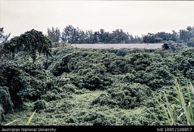 Vanuatu - Smelting Plant