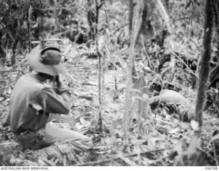 SALAMAUA AREA, NEW GUINEA. 1943-07-23. NX97779 PRIVATE F. W. MCVICAR OF THE 18TH PLATOON, "D" COMPANY, 2/5TH A FORWARD SCOUT IN THE ATTACK ON MOUNT TAMBU. NOTE: THE BODY OF A DEAD JAPANESE SOLDIER ..