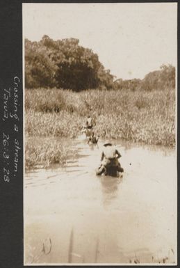 Stream at Tavua, Fiji, March 1928