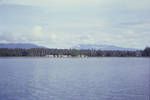 Foreshore of a coconut and cocoa plantation on east coast of Bougainville, Jun 1963