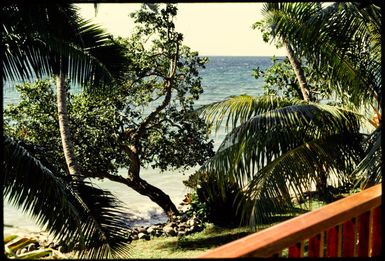 View of the sea, Taveuni, 1971