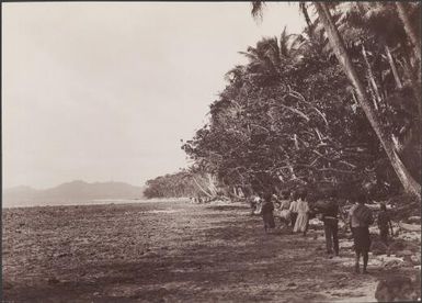 A group of people walking along the beach at Longapollo, Florida, Solomon Islands, 1906 / J.W. Beattie