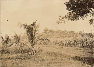 House on a ridge in Fiji?