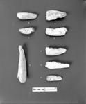 Artefacts