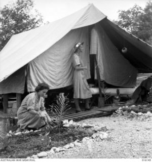 NEW GUINEA. 1943-11-17. MEMBERS OF THE AUSTRALIAN ARMY MEDICAL WOMEN'S SERVICE (AAMWS) AT AN AUSTRALIAN FIELD HOSPITAL, OUTSIDE THEIR TENT