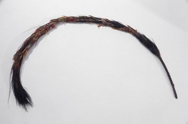 tail