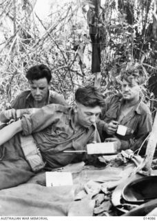 1943-01-14. PAPUA. BUNA. PTE. E.J. PICKETT OF BROKEN HILL, PTE. E. LISK OF QUEENSTOWN, SOUTH AUST. AND PTE. F.E. HOW OF STIRLING, SOUTH AUST, ENJOY A SPELL AFTER AN ALL NIGHT PATROL BEHIND JAPANESE ..