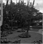 The Royal Hawaiian resort, Waikk Beach, Honolulu, Hawaii, 1930s