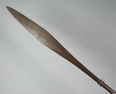 Pole spear