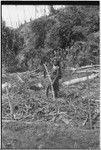 Gardening: woman with digging stick in newly cleared garden