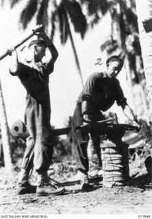 Madang, New Guinea. 1944-06-14. Members of the 266th Light Aid Detachment blacksmithing in the field at Headquarters 15th Infantry Brigade which is located at Siar Plantation. Left to right: ..