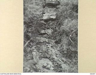 MADANG, NEW GUINEA. 1944-10-12. THE REAR VIEW OF A SHERMAN M4A2 MEDIUM TANK BOGGED AT A CREEK CROSSING DURING TESTS CONDUCTED AT HQ 4 ARMOURED BRIGADE