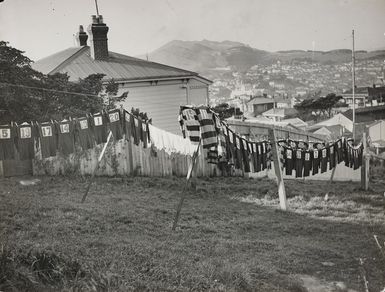 Rugby jerseys drying on washing lines, Wellington