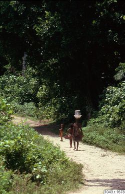 ["fotografi, photograph"]