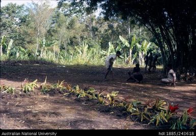 Children playing