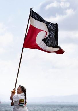 Flag bearer on the Hīkoi mō te Tiriti