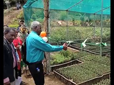 TREE NURSERY LAUNCHING