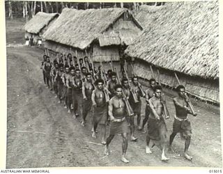 1943-06-15. NEW GUINEA. A PAPUAN INFANTRY UNIT MARCHES PAST GRASS HUTS EN ROUTE TO THE BARRACKS. (NEGATIVE BY N. BROWN)