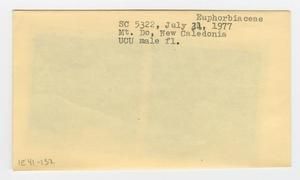 [Euphorbiaceae in New Caledonia, envelope IE41-132]
