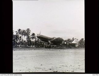 MOMOTE, LOS NEGROS ISLAND, ADMIRALTY ISLANDS. C. 1944-04. BACK FROM A MISSION, AND LANDING AT INTERVALS OF FORTY SEVEN SECONDS, THE LANDING PILOTS OF NO. 76 (KITTYHAWK) SQUADRON RAAF CUT THEIR ..