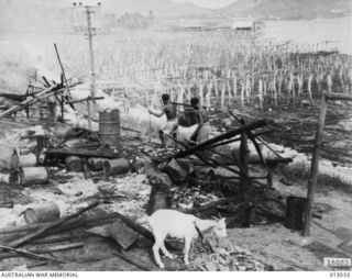 1943-06-18. NEW GUINEA. THE NATIVE VILLAGE OF HANAUBADA, PORT MORESBY AFTER IT HAD BEEN SWEPT BY FIRE, WHICH IT IS BELIEVED WAS ACCIDENTAL. THIS WAS THE BIGGEST VILLAGE OF "SALTWATER" NATIVES IN ..