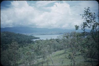 Vegetation near Port Moresby, looking down on the sea : Papua New Guinea, 1953 / Terence and Margaret Spencer