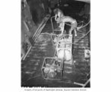 Joseph Vogal operating decompression chamber for diving aboard the USS COUCAL, 1947