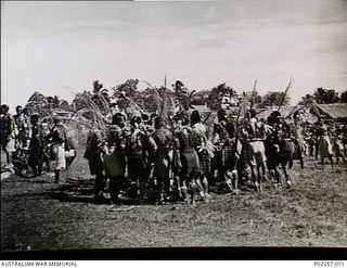 Madang, New Guinea, 1945-06. Carrying palm leaves and wearing ceremonial dress, a group of native Papuan men perform a traditional dance and 'sing-sing'