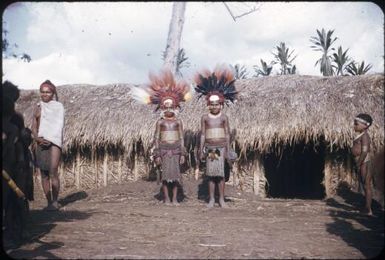 Decorated girls (2) : The Tengerap Clan Singsing, Wahgi Valley, Papua New Guinea, 1954 / Terence and Margaret Spencer