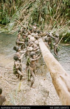 Group of Mendi men moving a tree trunk