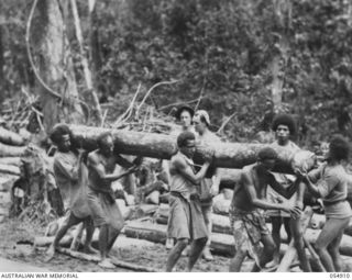 BULLDOG-WAU ROAD, NEW GUINEA, 1943-07-13. NATIVE LABOURERS LIFTING CROSS PIECES FOR BRIDGE AT THE 21 MILE POINT. TWO ENGINEERS OF HEADQUARTERS, ROYAL AUSTRALIAN ENGINEERS, 11TH AUSTRALIAN DIVISION, ..