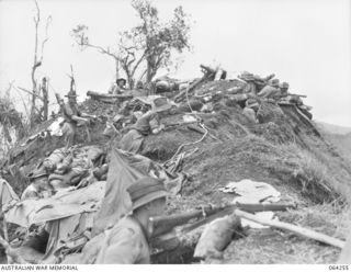 SHAGGY RIDGE, NEW GUINEA. 1944-01-23. TROOPS OF "C" COMPANY, 2/9TH INFANTRY BATTALION DIGGING INTO A NEWLY OCCUPIED FEATURE ON SHAGGY RIDGE
