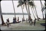 Chopping a coconut palm