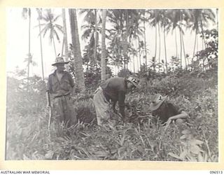 RABAUL, NEW BRITAIN, 1945-09-11. FULL OPERATIONAL STATUS PREVAILED WHEN TROOPS OF 4 INFANTRY BRIGADE LANDED AT RABAUL TO OCCUPY THE JAPANESE BASE AND SECURE THE AREA. THIS PHOTOGRAPH SHOWS MEMBERS ..