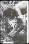 Man tying up coconuts to offer to ancestors in ritual, probably for good weather for a feast