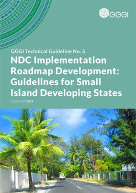 NDC implementation roadmap development: guidelines for small island developing states.
