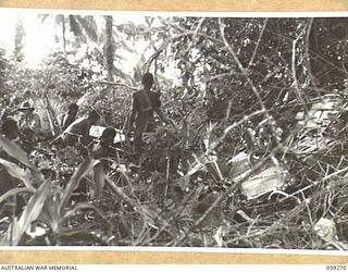 ULUGUDU, NEW GUINEA, 1943-10-25. NX155085 CAPTAIN R.G. ORMSBY OF THE AUSTRALIAN AND NEW GUINEA ADMINISTRATIVE UNIT (ANGAU) AND HIS NATIVE BOYS INSPECTING A CRASHED MITCHELL BOMBER AIRCRAFT IN THE ..