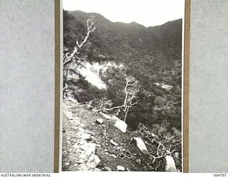 WAU, NEW GUINEA. 1944-02-11. SHELVES CUT INTO THE HILLSIDE BY ENGINEERS OF THE 2/4TH FIELD SQUADRON, ROYAL AUSTRALIAN ENGINEERS DURING THE BUILDING OF THE NEW WAU ROAD