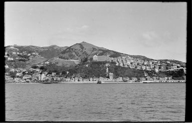 Mount Victoria and Oriental Bay