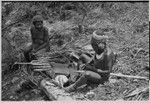 Pig festival, stake-planting: man applies spell to stakes to be planted at clan boundaries, along with cordyline stems