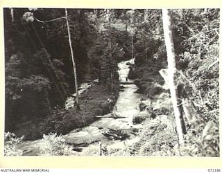 EFOGI, NEW GUINEA. 1944-04-07. NATIVES CROSSING A BRIDGE OVER THE EFOGI RIVER. THE RIVER IS CROSSED IN THE FOREGROUND WITH SIGNAL WIRES OPERATED BY THE 23RD LINE SECTION, 18TH LINES OF ..