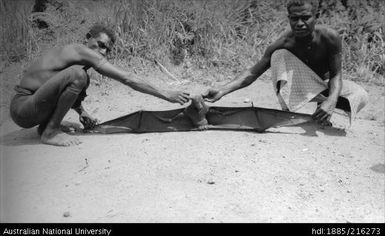 Two men holding a bat